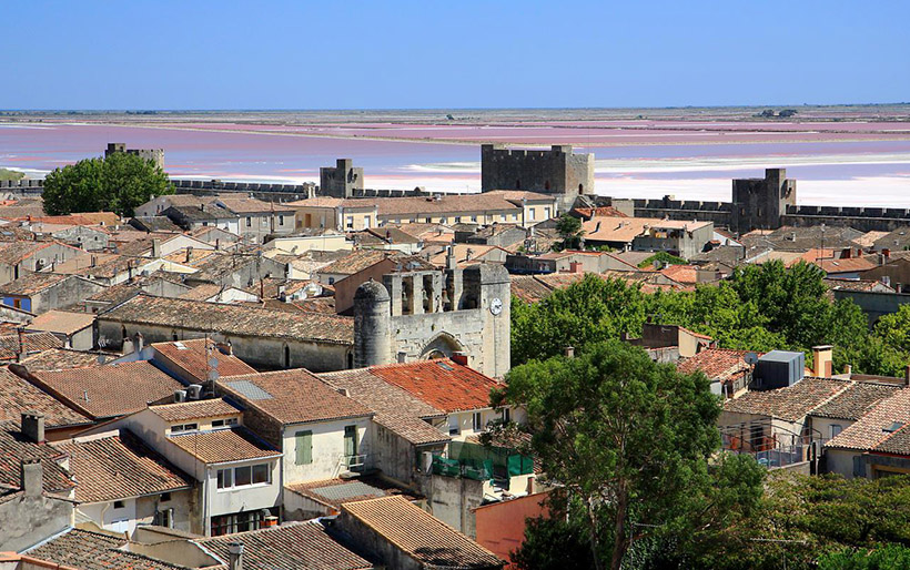 1526289085424023619.jpg xx.jpg