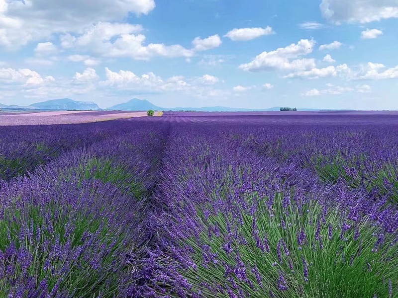 1678220979278090268.jpg 3 (2).jpg